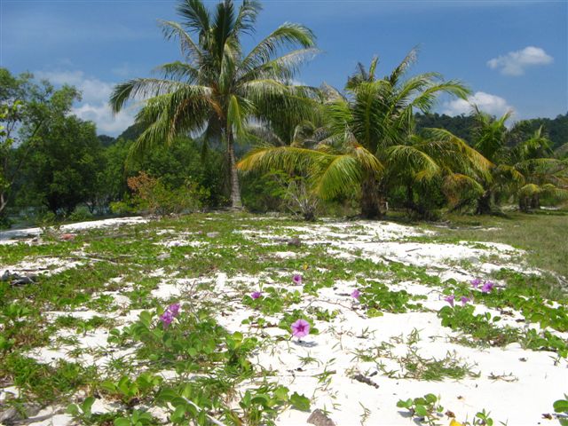 Plage Asie